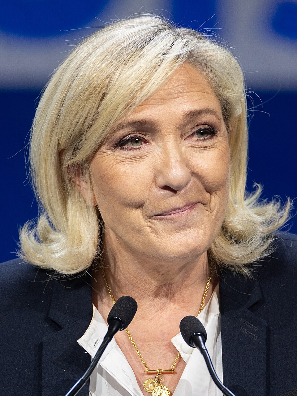 Portrait de Marine Le Pen, Rassemblement national
